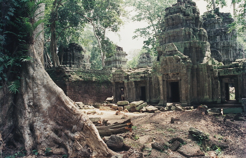 Jungle Templo