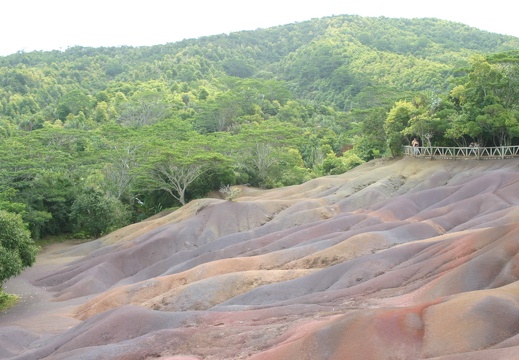 Selva y colores (2987 visitas) Selva y colores Debajo de la selva ¿qué colores habrá? Selva y colores