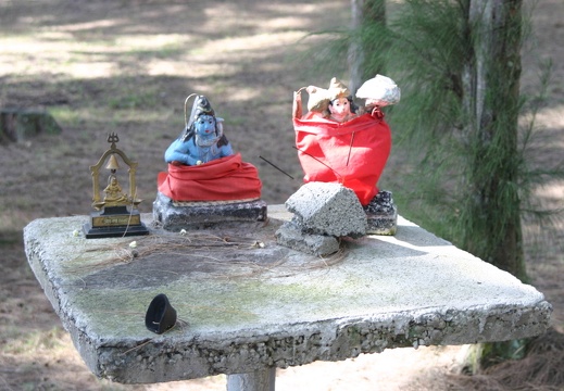 Ofrenda hinduista (2846 visitas) Ofrenda religiosa en Mauricio Imágenes religiosas depositadas sobre una mesa en una zona de recreo ... Ofrenda hinduista