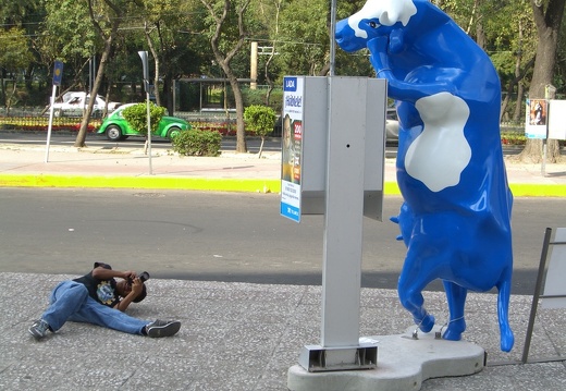Cow Parade (3250 visitas) Cow Parade en Ciudad de México. Cow Parade