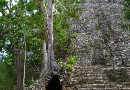 La selva lo inunda todo (2192 visitas) La selva lo inunda todo La selva inunda todo Cobá La selva lo inunda todo