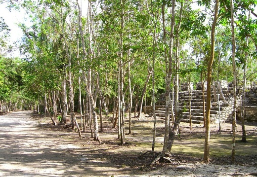 Cobá (1808 visitas) Los restos arqueológicos de Cobá se extienden sobre más de 50 km². Para visitarlo hay que pasear... Cobá