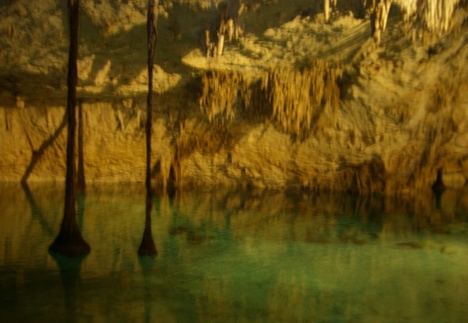 Cenote (2275 visitas) Cenote cerca de Tulum en el que se puede hacer snorkel Cenote