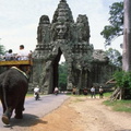 Puerta y elefante