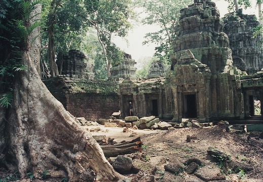 Jungle Templo