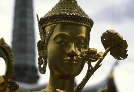 Buda y flor de loto (2872 visitas) Estatua de Buda con flor de loto Buda y flor de loto