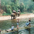 Rafting en Chiang Mai