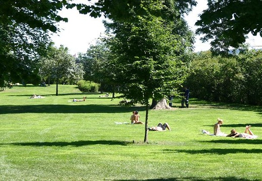 Parque en Oslo (1874 visitas) Parque en Oslo Parque en Oslo
