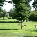 Parque en Oslo