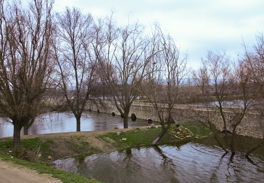 Vista del puente